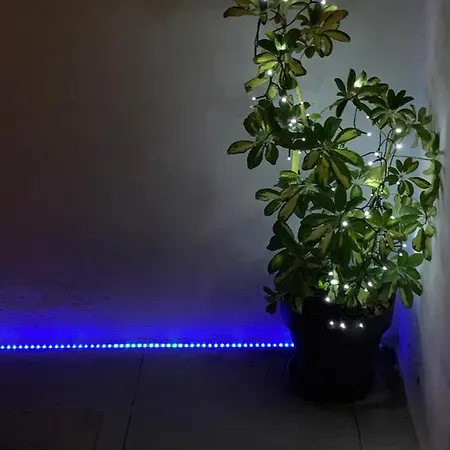 Rosa Luxury 2 Bed 2 Bath With Private Pool, Patio بلايا بلانكا